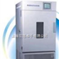 LHH80SDP-LHH-250SD药品稳定性试验箱