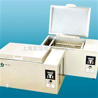 DKU-30DKU30电热恒温油槽